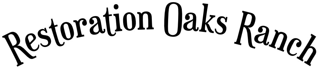 050425 ROR Logo Curved 1024x220